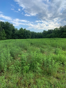 Averett Retreat In Southern VA - image 9