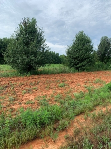 Averett Retreat In Southern VA - image 6