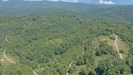 Large Acreage for Sale in Dickenson County VA - image 4