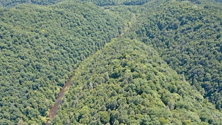 Large Acreage for Sale in Dickenson County VA - image 6
