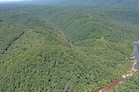 Large Acreage for Sale in Dickenson County VA - image 1