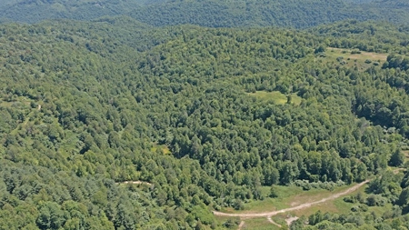 Large Acreage for Sale in Dickenson County VA - image 3