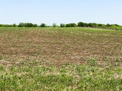 Land for Development for Sale in Central Texas - image 6