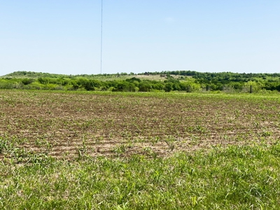 Land for Development for Sale in Central Texas - image 6