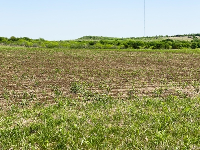 Land for Development for Sale in Central Texas - image 7