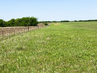 Land for Development for Sale in Central Texas - image 4