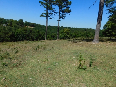 Land Near Buffalo National River Newton County For Sale - image 7