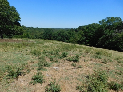 Land Near Buffalo National River Newton County For Sale - image 8