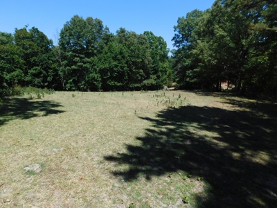Land Near Buffalo National River Newton County For Sale - image 1