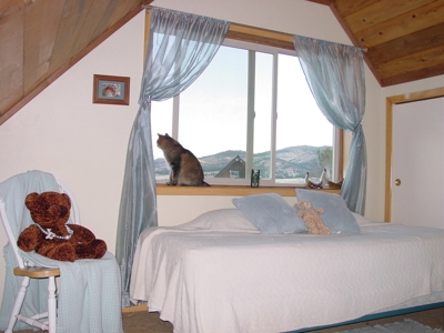 360 Degree Views on Hilltop, 3,109 Sq. Ft. Log Home - image 12