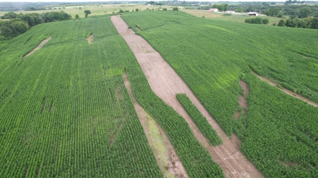 Highly Tillable Iowa Row Crop Farm for Sale - image 16