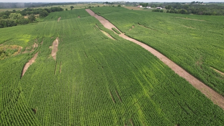 Highly Tillable Iowa Row Crop Farm for Sale - image 15