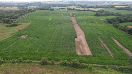 Highly Tillable Iowa Row Crop Farm for Sale - image 14