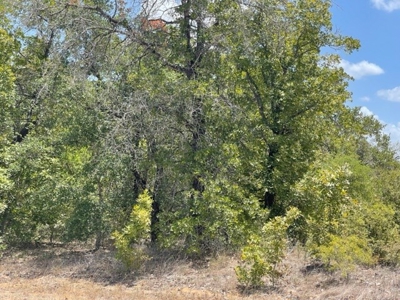 2 Residential Acres 25 Miles South of Downtown San Antonio - image 4
