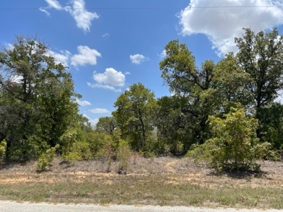 2 Residential Acres 25 Miles South of Downtown San Antonio - image 3