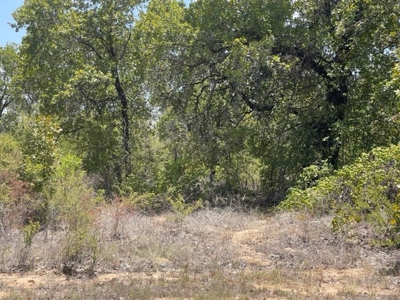 2 Residential Acres 25 Miles South of Downtown San Antonio - image 1