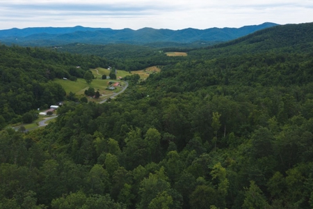Wooded Hunting Land for Sale in Patrick County VA! - image 15