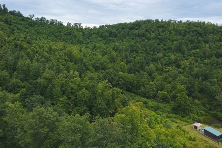 Wooded Hunting Land for Sale in Patrick County VA! - image 7
