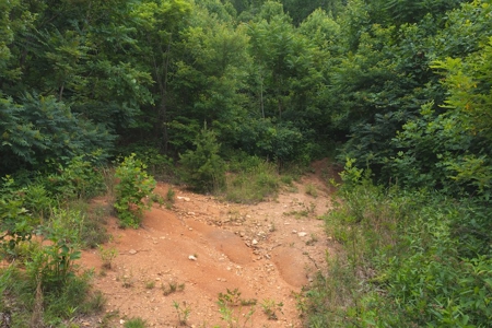 Wooded Hunting Land for Sale in Patrick County VA! - image 16