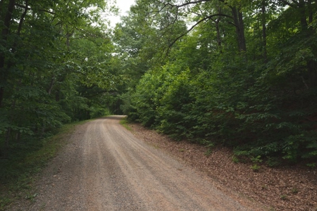 Wooded Hunting Land for Sale in Patrick County VA! - image 2