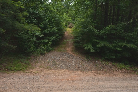 Wooded Hunting Land for Sale in Patrick County VA! - image 3