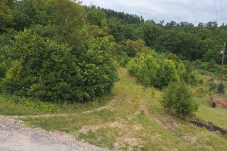 Wooded Hunting Land for Sale in Patrick County VA! - image 5