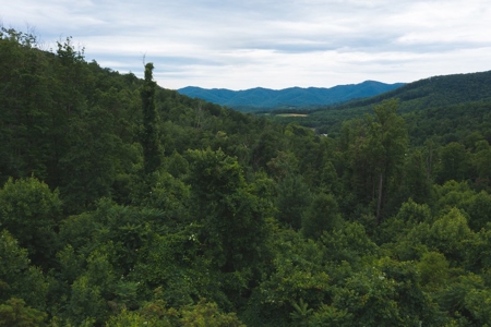 Wooded Hunting Land for Sale in Patrick County VA! - image 17