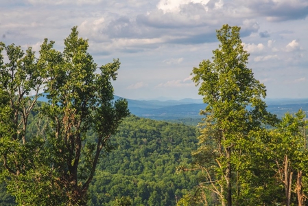 Building Land for Sale with Mountain Views in Callaway VA! - image 4
