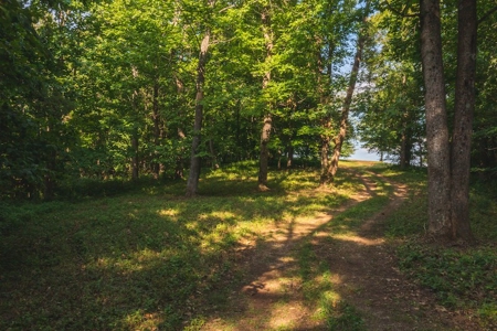 Building Land for Sale with Mountain Views in Callaway VA! - image 28