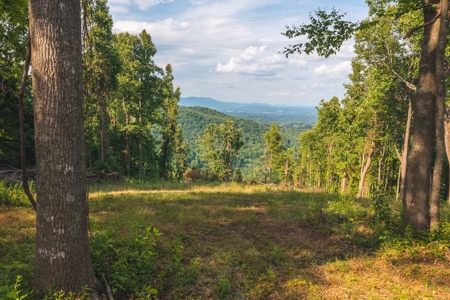Building Land for Sale with Mountain Views in Callaway VA! - image 9