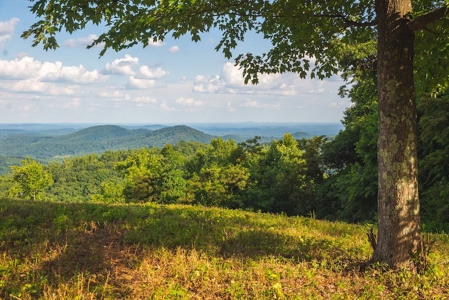 Building Land for Sale with Mountain Views in Callaway VA! - image 17