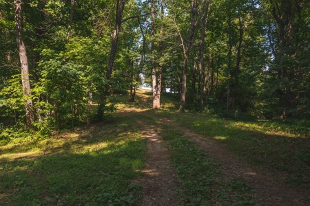Building Land for Sale with Mountain Views in Callaway VA! - image 20