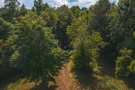 Building Land for Sale with Mountain Views in Callaway VA! - image 24