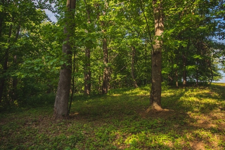 Building Land for Sale with Mountain Views in Callaway VA! - image 15