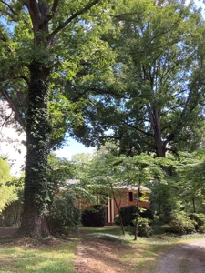 Sleeping Giant In Halifax, County VA - image 30