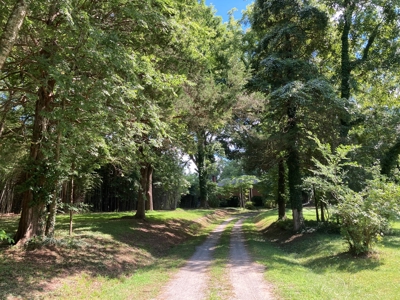 Sleeping Giant In Halifax, County VA - image 32