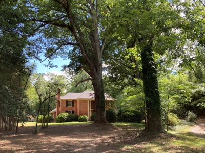 Sleeping Giant In Halifax, County VA - image 29