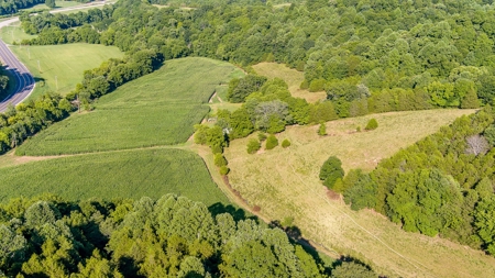 Accepted Offer in Southern Kentucky - image 19