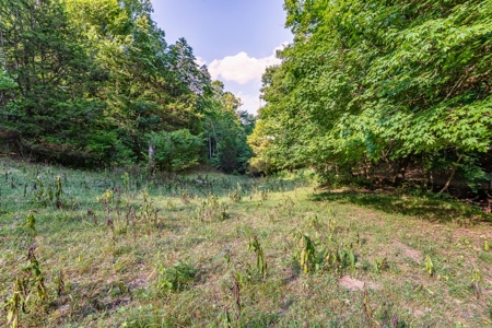 Accepted Offer in Southern Kentucky - image 43