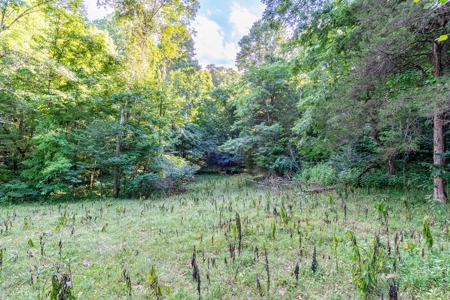 Accepted Offer in Southern Kentucky - image 44