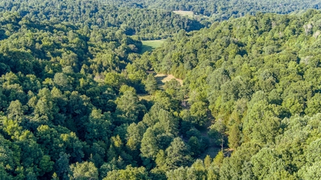 Accepted Offer in Southern Kentucky - image 21