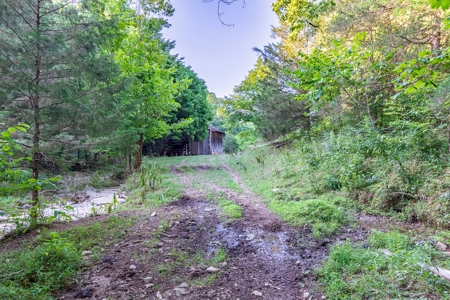 Accepted Offer in Southern Kentucky - image 49