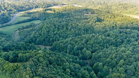Accepted Offer in Southern Kentucky - image 9