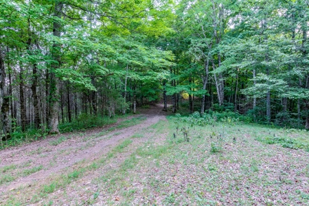 Accepted Offer in Southern Kentucky - image 47
