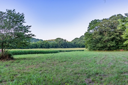 Accepted Offer in Southern Kentucky - image 28