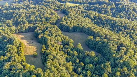 Accepted Offer in Southern Kentucky - image 13