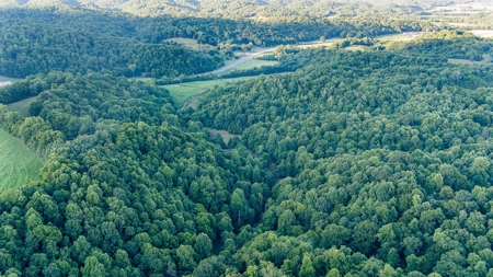 Accepted Offer in Southern Kentucky - image 8
