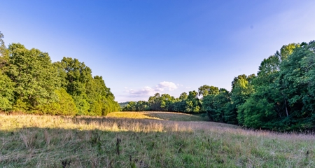 Accepted Offer in Southern Kentucky - image 30