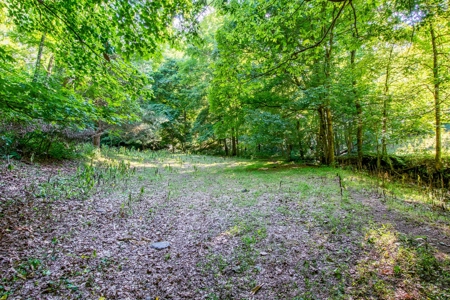 Accepted Offer in Southern Kentucky - image 23