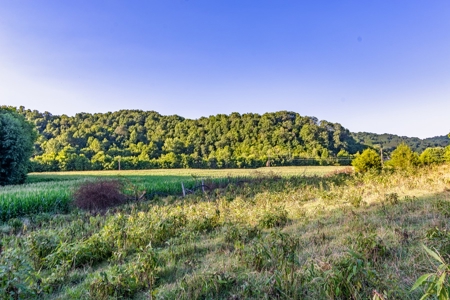 Accepted Offer in Southern Kentucky - image 34